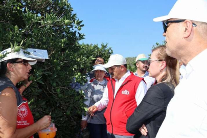 Ege ihracatçıları 'iyi tarım uyguamalarını' Muğla'da sürdürdü