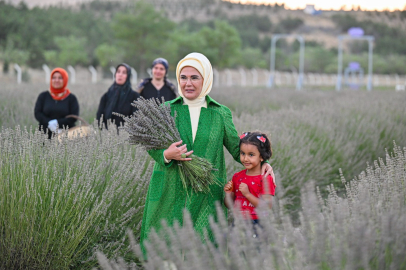 Emine Erdoğan, lavanta hasadı yaptı