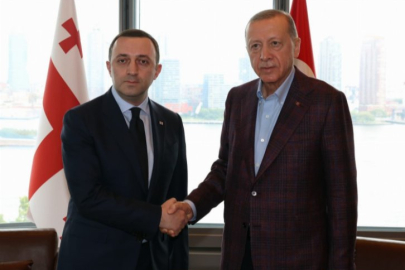 Gürcistan Başbakanı Garibaşvili'yi Türkevi'nde kabul etti