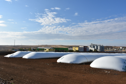 Tahıldaki bereket, silolardan taştı!