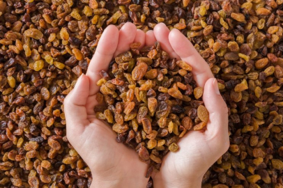 Türkiye kuru üzüm üretiminde açık ara dünya lideri