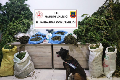 Uyuşturucu satan manav tutuklandı