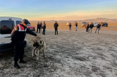 Bahisle köpek dövüştüren 37 kişiye 150 bin TL ceza