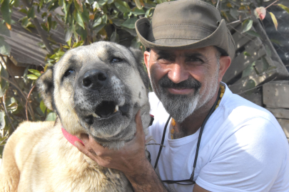  Kangal köpeklerinin gen haritası çıkarılmalı