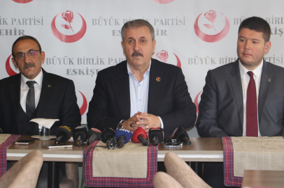 Sokak köpekleri için Atatürk tamimini öneriyoruz!