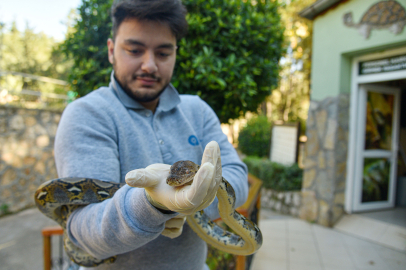 Koruma altındaki 'egzotik' hayvanlara ziyaretçi yoğunluğu