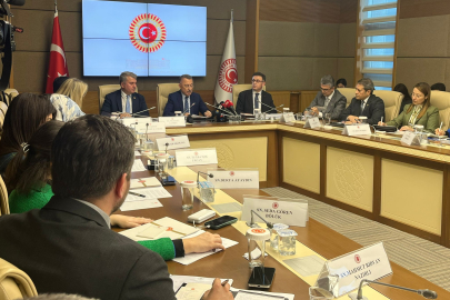 İsveç'in NATO'ya üyeliğine ilişkin protokol  kabul edildi: ABD F-16'ları vermezse ne olacak?