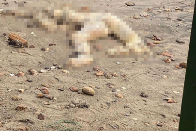 Bodrum’da sahilinde başı olmayan erkek cesedi bulundu