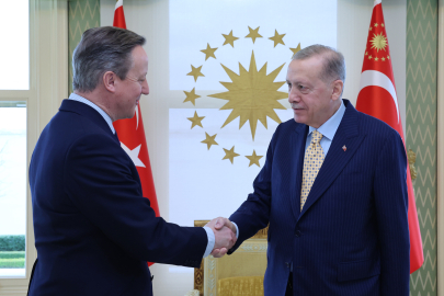 Cumhurbaşkanı Erdoğan, Cameron'u kabul etti