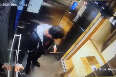 Kedi katilinin cezasının ertelenmesine savcılık itiraz etti 