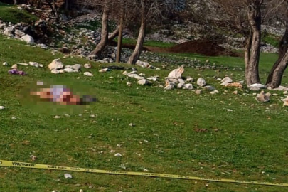 3 köpeğin saldırdığı kadın öldü