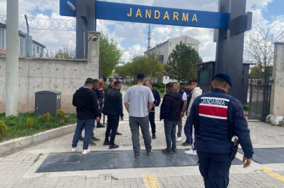 Köpek dövüştürenlere 93 bin 808 lira ceza