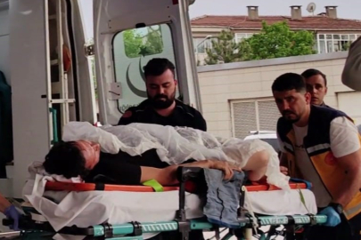 Üzüm asmasını kesen yeğenini  yaraladı