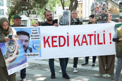Kahrolsun kedileri öldürenler!