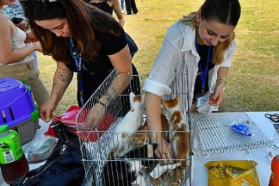 İzmir'de 'sahiplendirme' şenliği