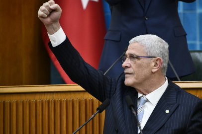Dervişoğlu'ndan sokak köpekleri yorumu: Vicdan bombası!