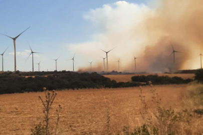 Çanakkale'de yangın