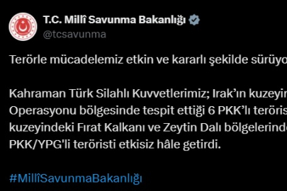 Irak ve Suriye'de 10 terörist imha edildi