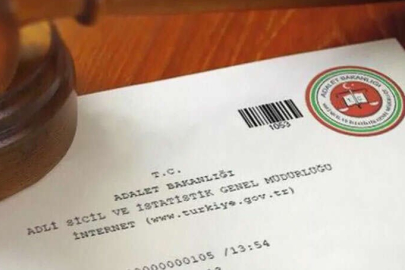 43 dilde adli sicil verilebiliyor... En çok alınan belge İngilizce
