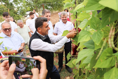 Kınık Barbunyası