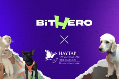 Haytap ve BitHero Kripto güçlerini birleştirdi