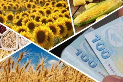 4,3 milyar TL'lik tarımsal destekler hesaplarda