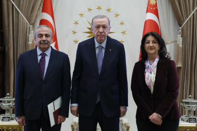 Erdoğan, DEM heyetini kabul etti