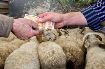 Hayvancılıkta Kurban bereketi!