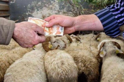Hayvancılıkta Kurban bereketi!