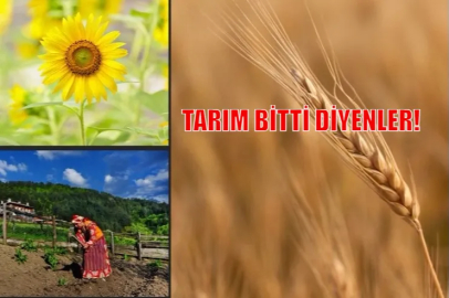 Türk tarımının cirosu 70 milyar doları aştı