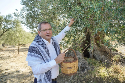 Ayvalık, zeytin ve zeytinyağının buluşma noktası