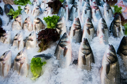 Su ürünleri ihracatının yüzde 47’si Ege'den