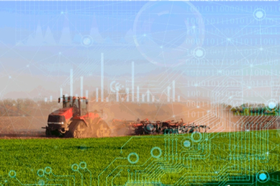 Bitkisel üretimde genel düşüş yaşandı