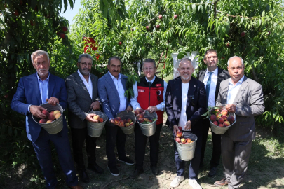 Şeftali ve Nektarinde 250 Milyon Dolar İhracat Hedefi