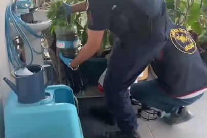 5 ilde uyuşturucuya 341 gözaltı