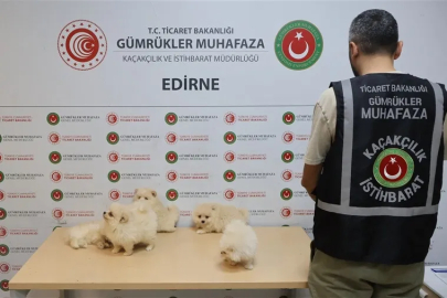 Kapıkule'de kaçakçılık operasyonu... 