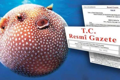 Balon Balığını öldürene 35 lira destek!