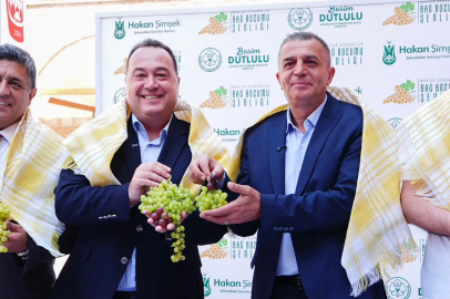 Manisa bağbozumuna hazır